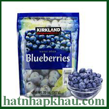 Việt quất khô-Blue Berries